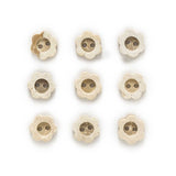 [clothes_buttons] - [buttonzone]